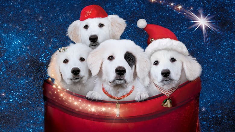 Santa Paws 2: The Santa Pups still