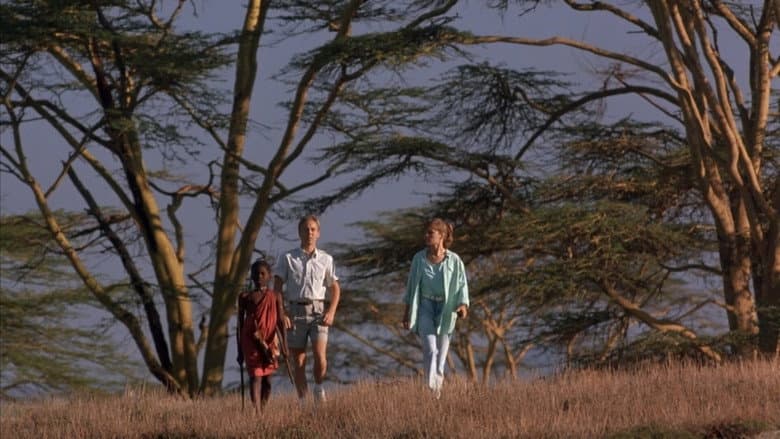 Cheetah still