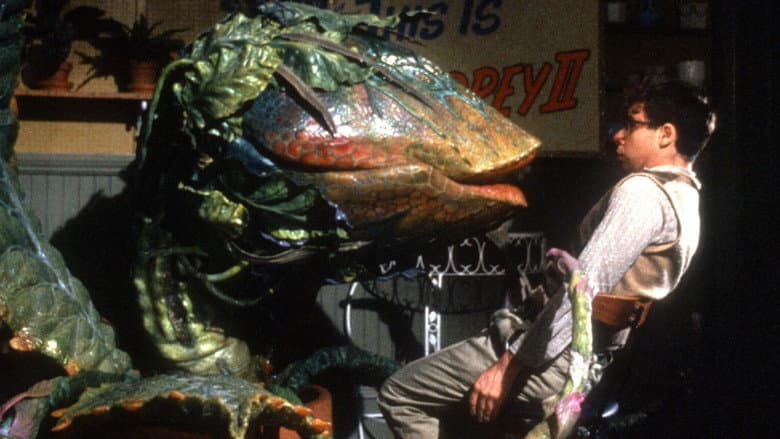 Little Shop of Horrors still