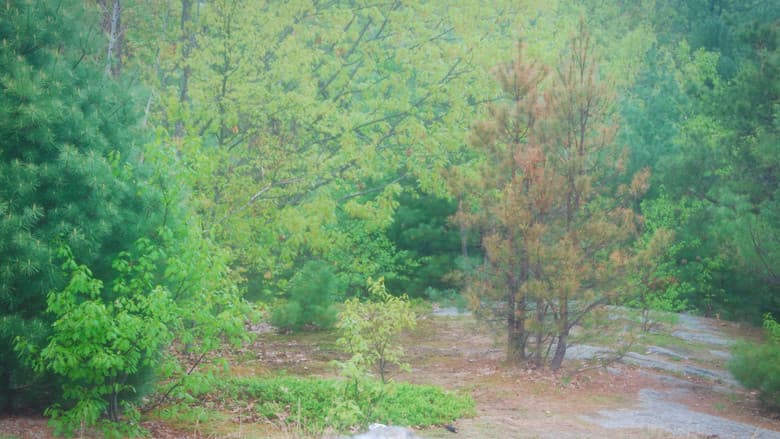 REMNIRA still