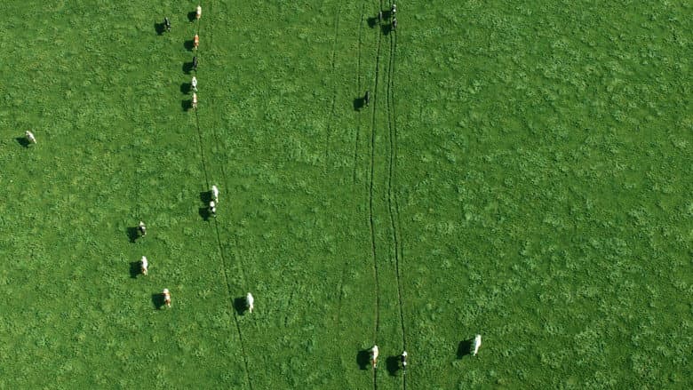 The Milk System still