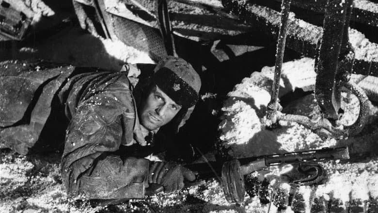 Stalingrad: Dogs, Do You Want to Live Forever? still