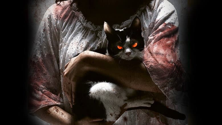 The Cat still