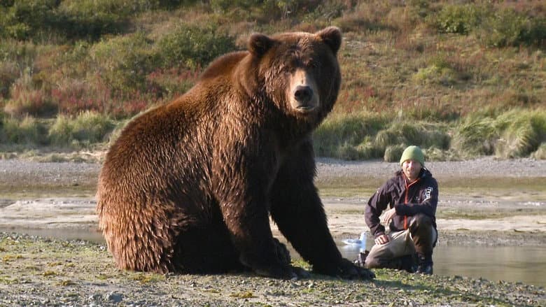 Bear-Like still