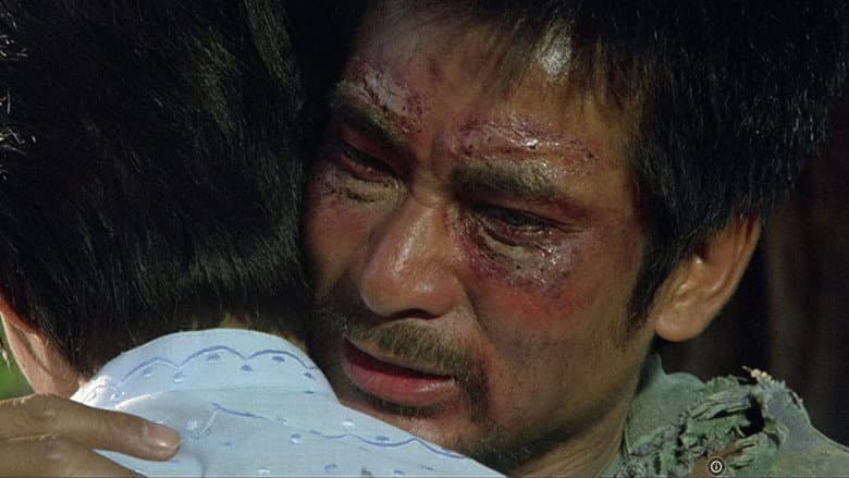 Heroes Shed No Tears still