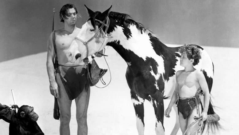 Tarzan's Desert Mystery still