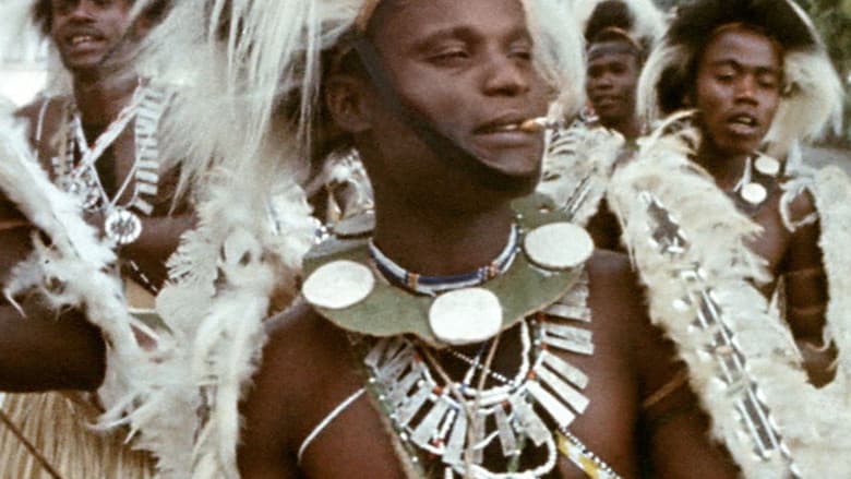 The Pan-african Festival in Algiers still