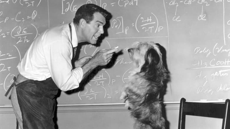 The Absent-Minded Professor still