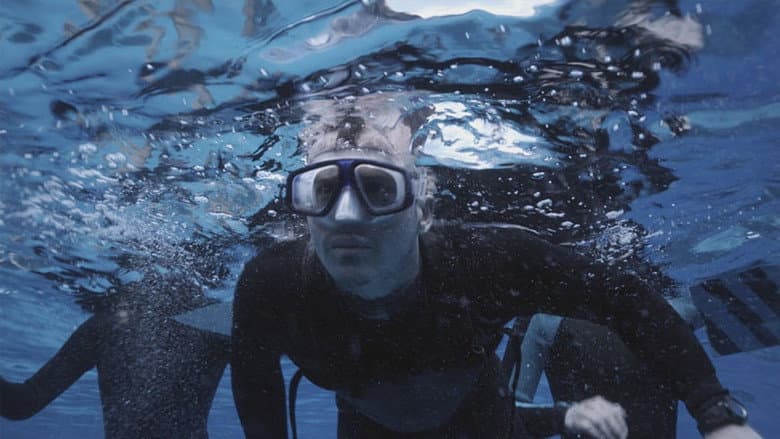 The Reef still