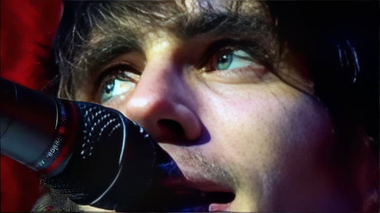 The All-American Rejects: Tournado still