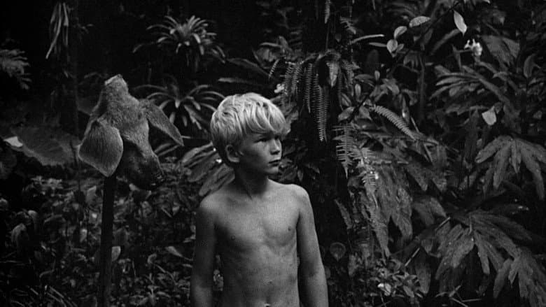 Lord of the Flies still