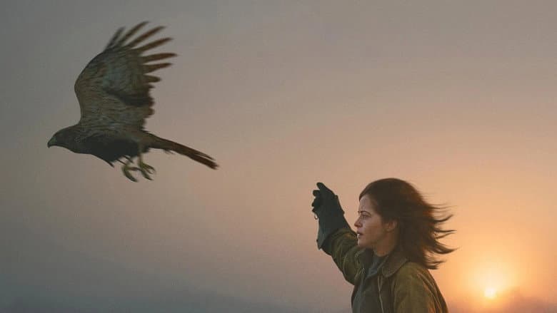 H Is for Hawk still