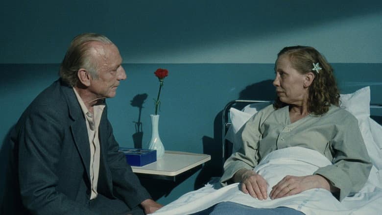 Le Havre still