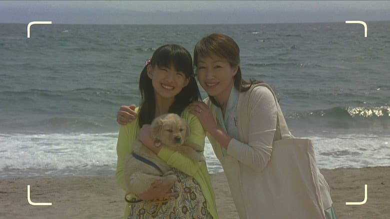 10 Promises to My Dog still