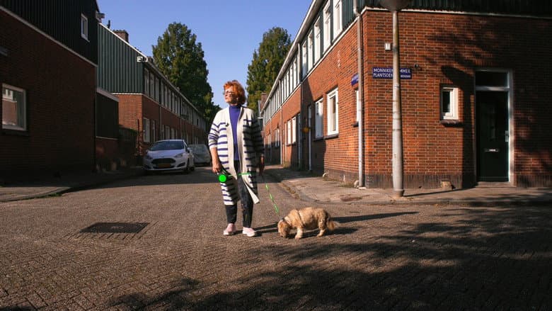 Mijn Noord still