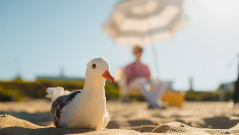 Seagulls & Stripes still