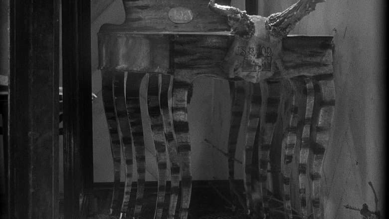 Stille Nacht III: Tales from Vienna Woods still