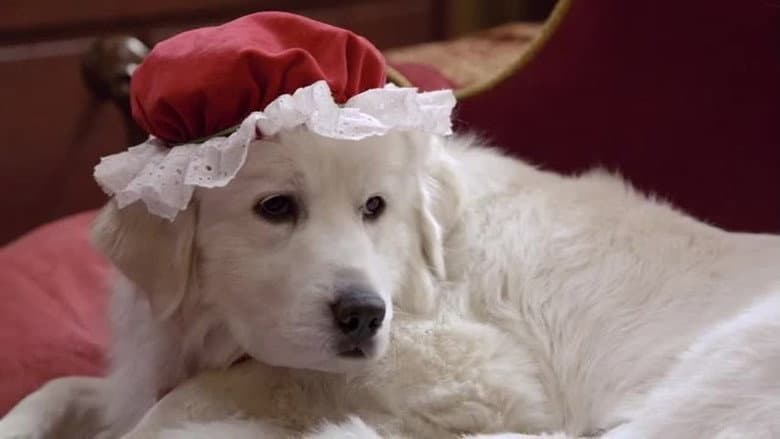 Santa Paws 2: The Santa Pups still