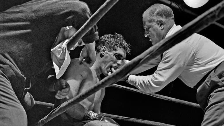Day of the Fight still