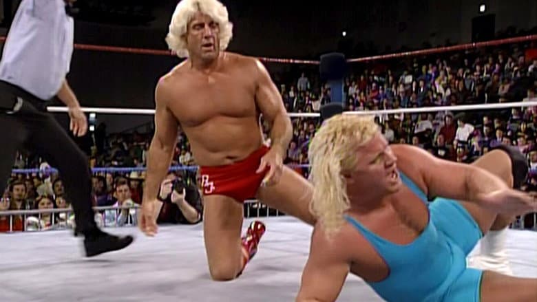 WWE Invasion of the Bodyslammers still