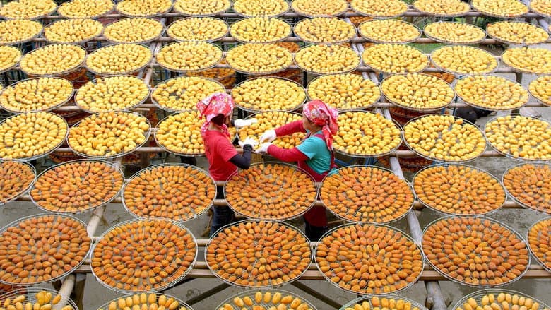 Formosa 3D still