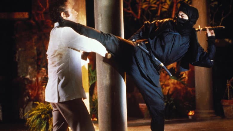 Enter the Ninja still