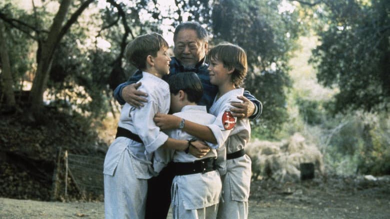 3 Ninjas still