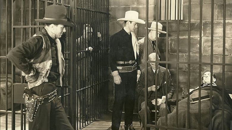 Stampede still
