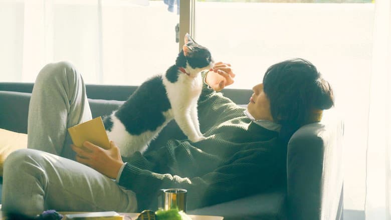 The Travelling Cat Chronicles still