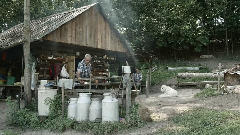 Ovčiarskou cestou still