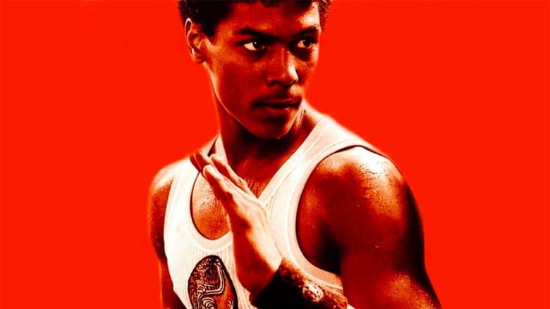 The Last Dragon still