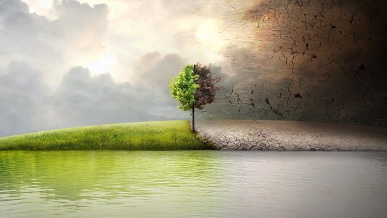 Before the Flood still