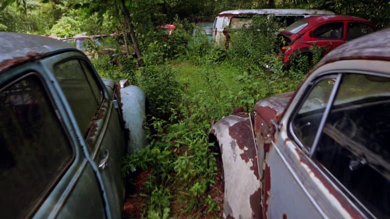The Bug: Life and Times of the People's Car still