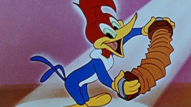 The Woody Woodpecker and Friends Classic Cartoon Collection still
