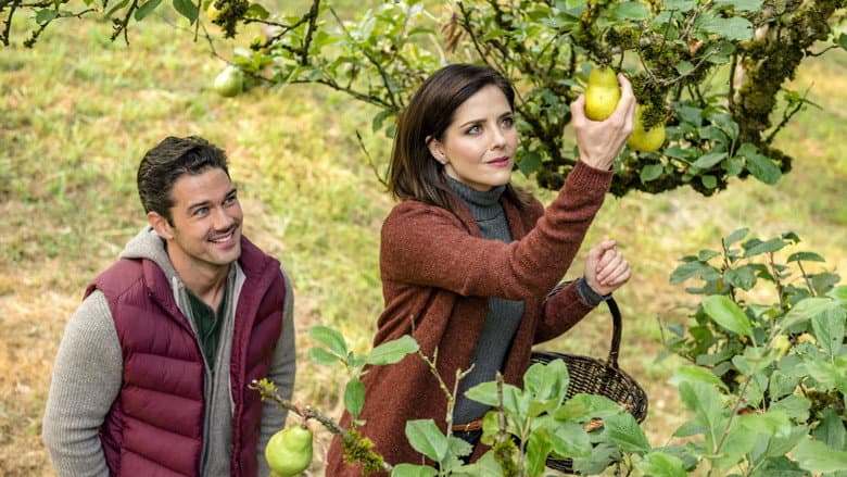 Harvest Love still