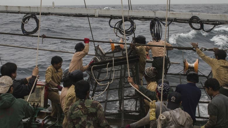 Squid Jigging Fishing Boat still
