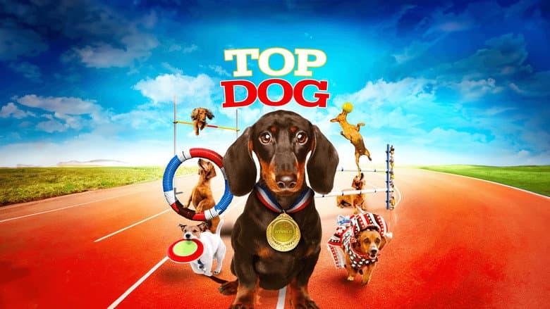 Wiener Dog Internationals still
