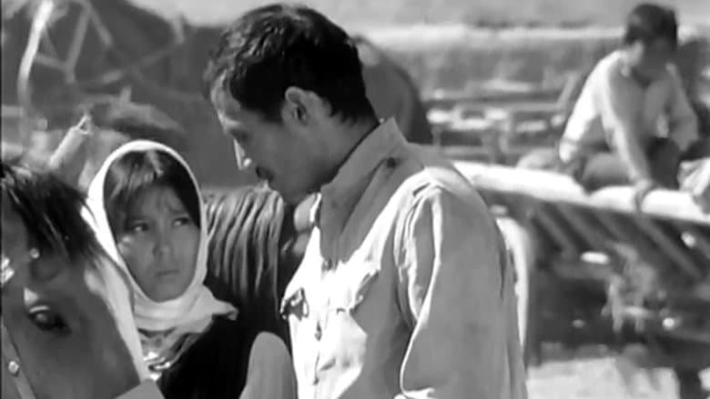Dzhamilya still