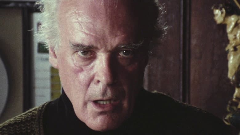 The Black Cat still