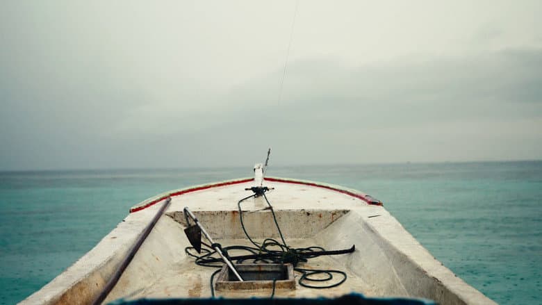 Echoes From Fading Island still