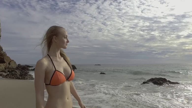 Shark Encounters of the Third Kind still