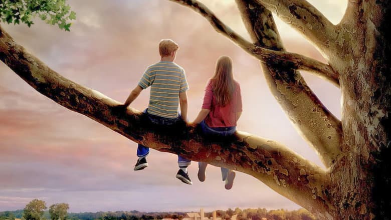 Flipped still