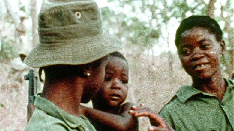 Concerning Violence still