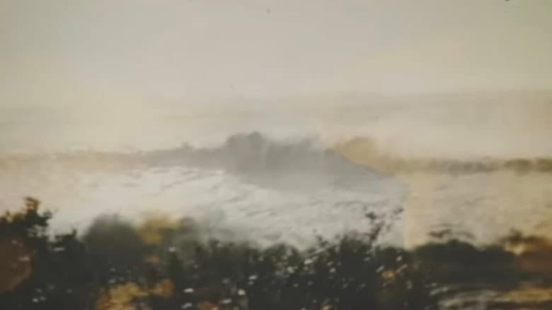 Valdivia 1960, El Gran Terremoto still