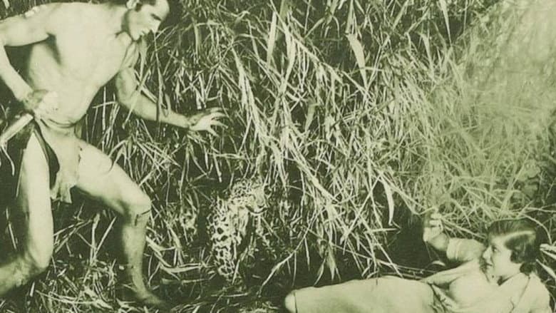 The New Adventures of Tarzan still