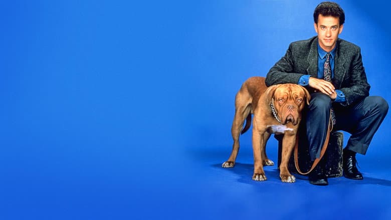 Turner & Hooch still