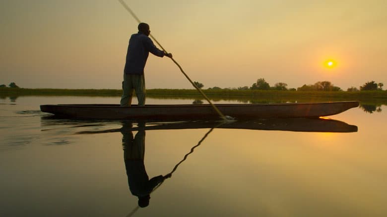 Into the Okavango still