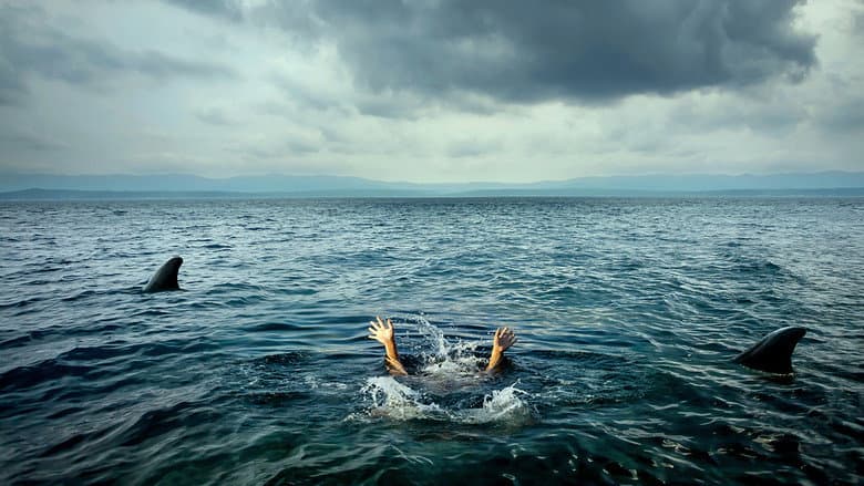 Open Water still