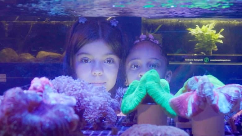 Aquário still