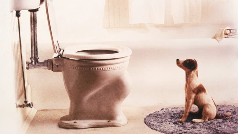 My Dog Skip still